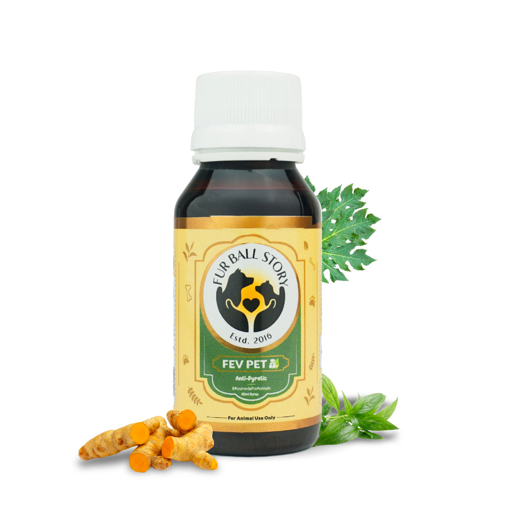 A bottle of Fur Ball Story Fev Pet anti-pyretic syrup surrounded by raw turmeric, a papaya leaf, and fresh herbs.