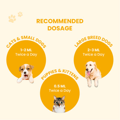 Fev Pet: Fever, Cough & Cold Relief Syrup For Dogs & Cats - 60ml