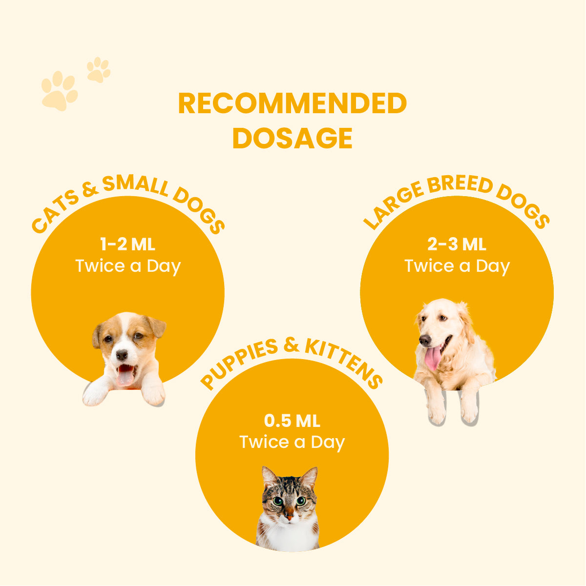 A dosage guide for Fev Pet syrup showing measurements for cats, small dogs, puppies, kittens, and large breed dogs.