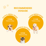 A dosage guide for Fev Pet syrup showing measurements for cats, small dogs, puppies, kittens, and large breed dogs.