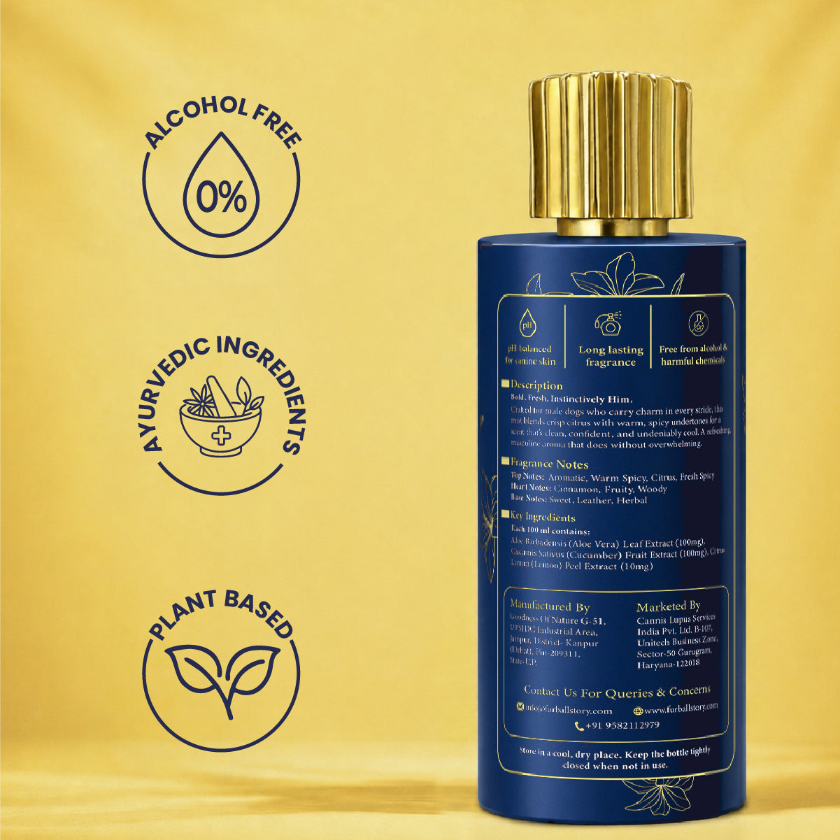 The back of the blue bottle showing product description, ingredients, and manufacturing details, alongside icons for Alcohol-Free, Ayurvedic Ingredients, and Plant-Based.