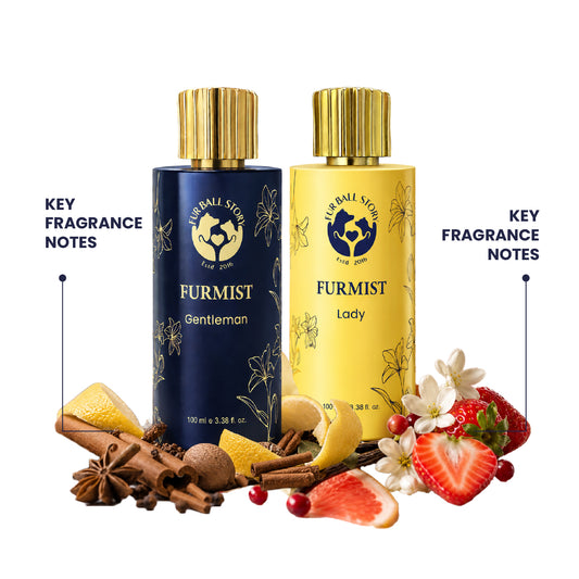 Front view of blue Furmist Gentleman and yellow Furmist Lady perfume bottles surrounded by raw ingredients like lemon, cinnamon, star anise, grapefruit, and strawberries.