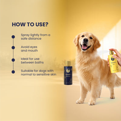 A hand spraying the yellow Furmist bottle onto a golden retriever, with text instructions: spray lightly from a safe distance, avoid eyes and mouth, ideal between baths, and suitable for normal to sensitive skin.