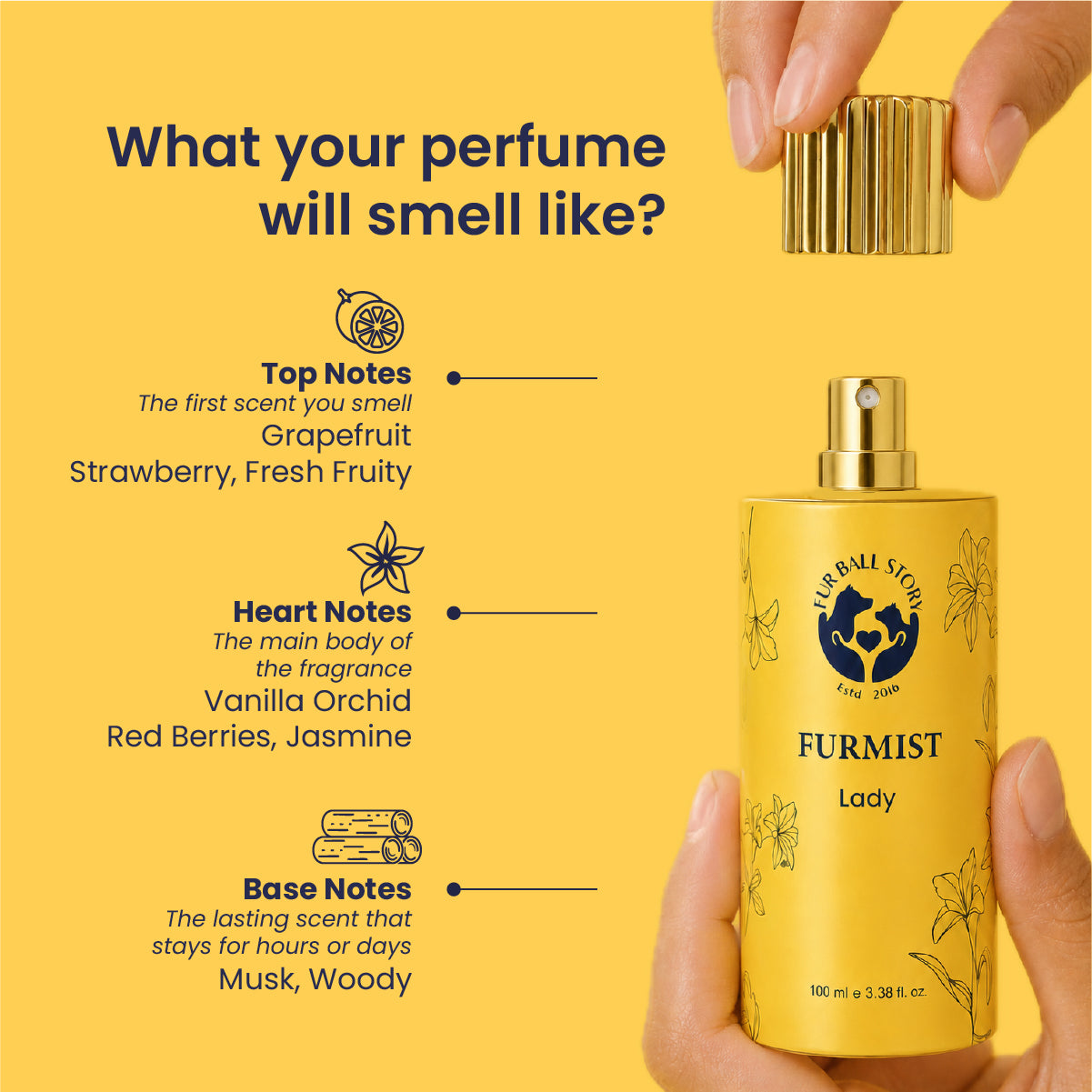 Infographic detailing the perfume's fragrance layers: Grapefruit and Strawberry top notes; Vanilla Orchid, Red Berries, and Jasmine heart notes; Musk and Woody base notes.