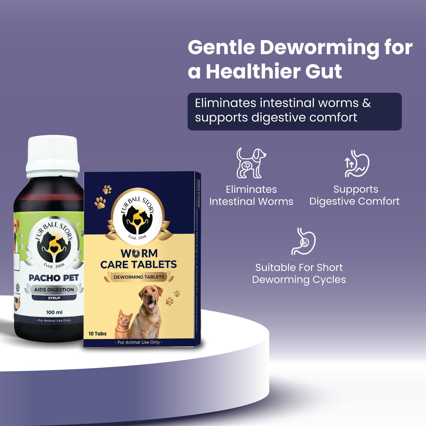 Infographic for pet deworming products showcasing a bottle of Pacho Pet syrup and a box of Worm Care Tablets, highlighting gut health and digestive comfort.