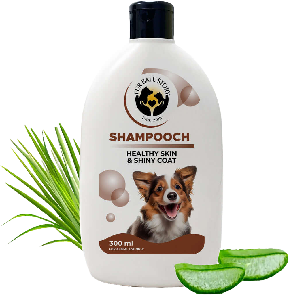 Shampooch: Best Dog Shampoo For Healthy Skin & Shiny Coat - 300ml