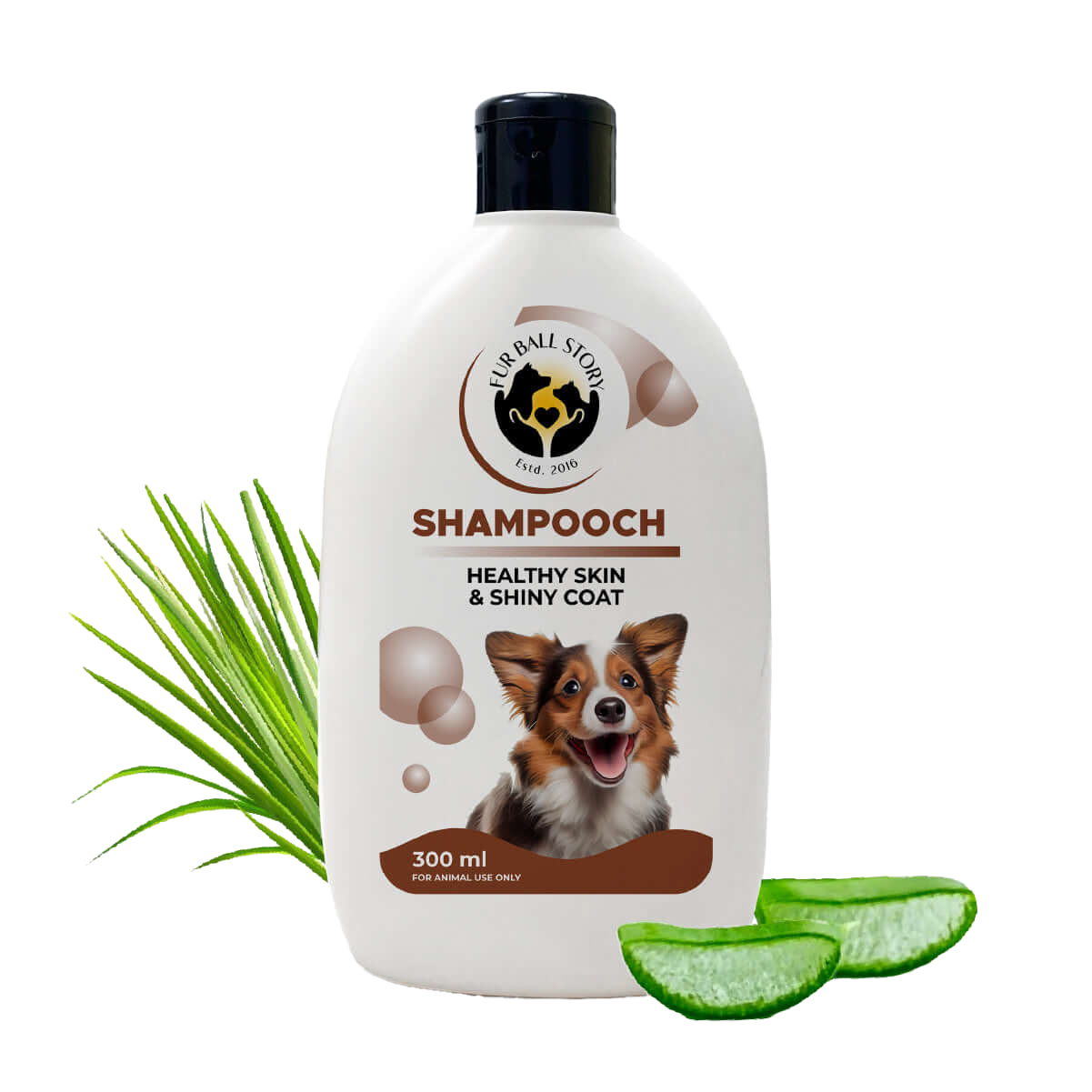 Shampooch: Best Dog Shampoo For Healthy Skin & Shiny Coat - 300ml