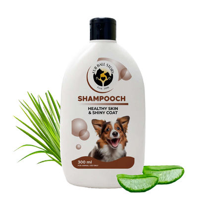 Shampooch: Best Dog Shampoo For Healthy Skin & Shiny Coat - 300ml
