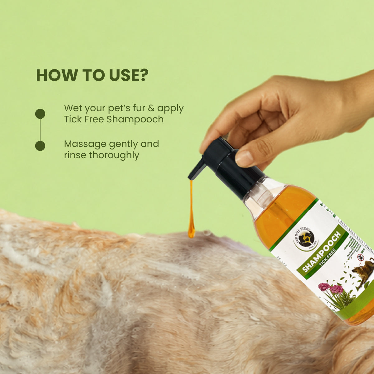 Hand dispensing shampoo onto a dog's wet fur, with instructions to massage gently and rinse thoroughly.