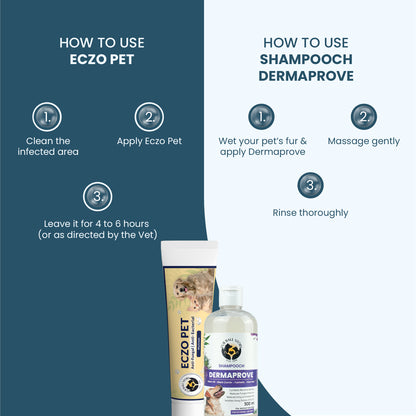 A step-by-step instruction graphic showing how to use Eczo Pet cream (clean, apply, leave for 4 to 6 hours) and Shampooch Dermaprove shampoo (wet fur, massage, rinse).