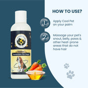 Step-by-step instructions on how to apply sunscreen to a pet's palm and massage it into hairless areas like the snout, belly, and paws.