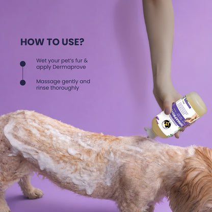 Instructional graphic showing a person's hand applying Dermaprove shampoo onto a wet, lathered dog's back, with the text "HOW TO USE?".