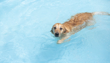 Hydrotherapy