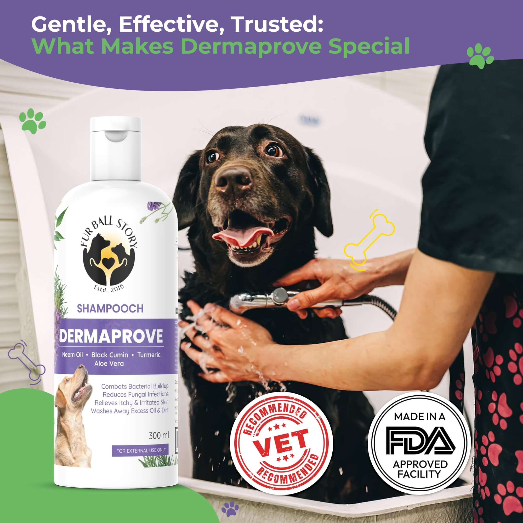 Dermaprove Antifungal Dog Shampoo – Effective Solution for Skin Infections in Dogs