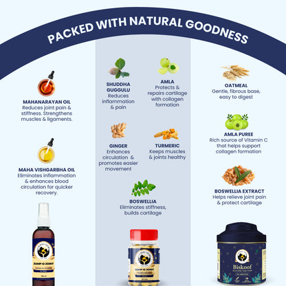 A "Packed with Natural Goodness" guide showcasing powerful Ayurvedic elements like Mahanarayan oil, Boswellia, and Turmeric. Each ingredient is paired with its specific benefit, such as reducing inflammation or repairing cartilage for better pet movement.