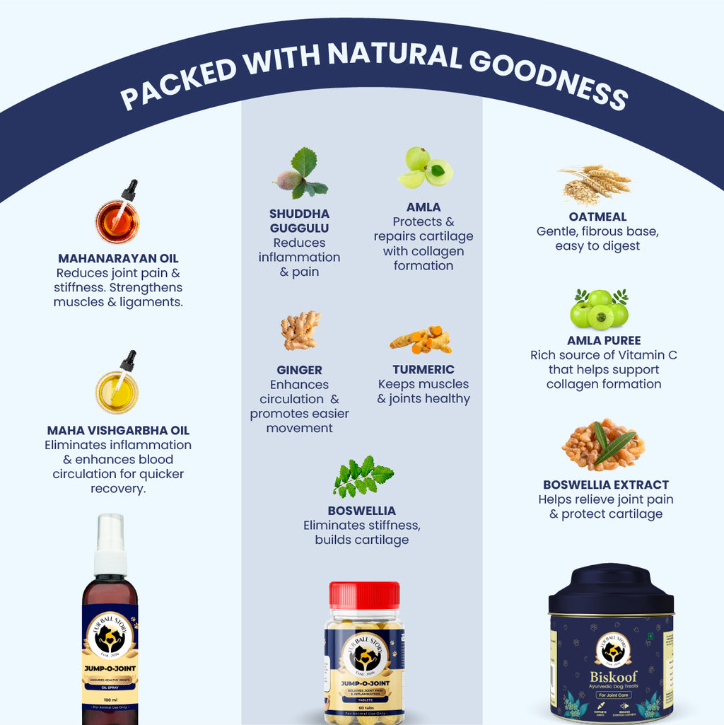A "Packed with Natural Goodness" guide showcasing powerful Ayurvedic elements like Mahanarayan oil, Boswellia, and Turmeric. Each ingredient is paired with its specific benefit, such as reducing inflammation or repairing cartilage for better pet movement.