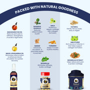 A "Packed with Natural Goodness" guide showcasing powerful Ayurvedic elements like Mahanarayan oil, Boswellia, and Turmeric. Each ingredient is paired with its specific benefit, such as reducing inflammation or repairing cartilage for better pet movement.