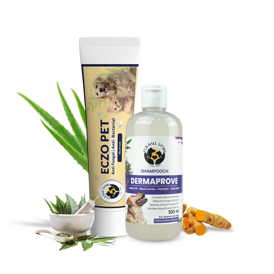 A product display of Eczo Pet cream and Shampooch Dermaprove shampoo, surrounded by raw natural ingredients like aloe vera, turmeric, and neem leaves in a mortar and pestle.