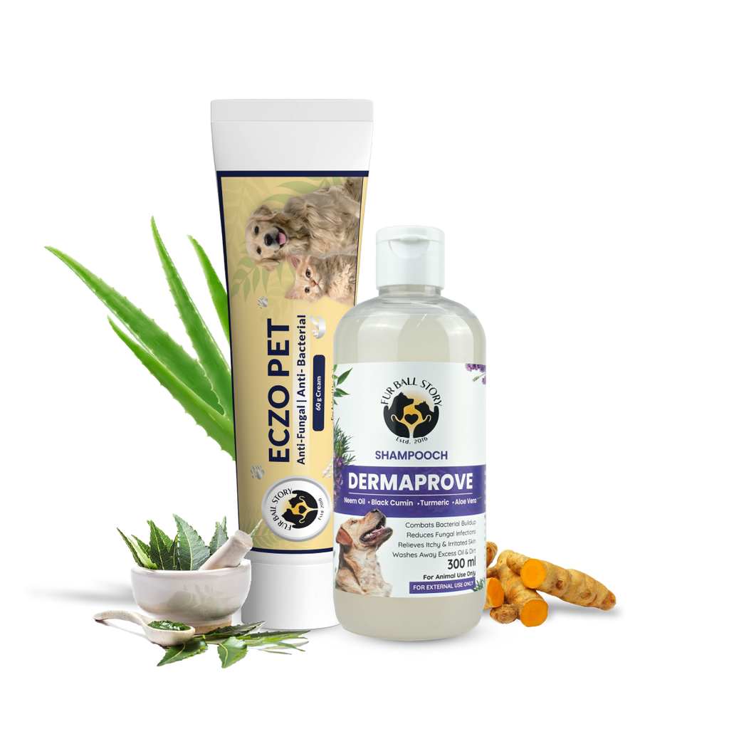 A product display of Eczo Pet cream and Shampooch Dermaprove shampoo, surrounded by raw natural ingredients like aloe vera, turmeric, and neem leaves in a mortar and pestle.