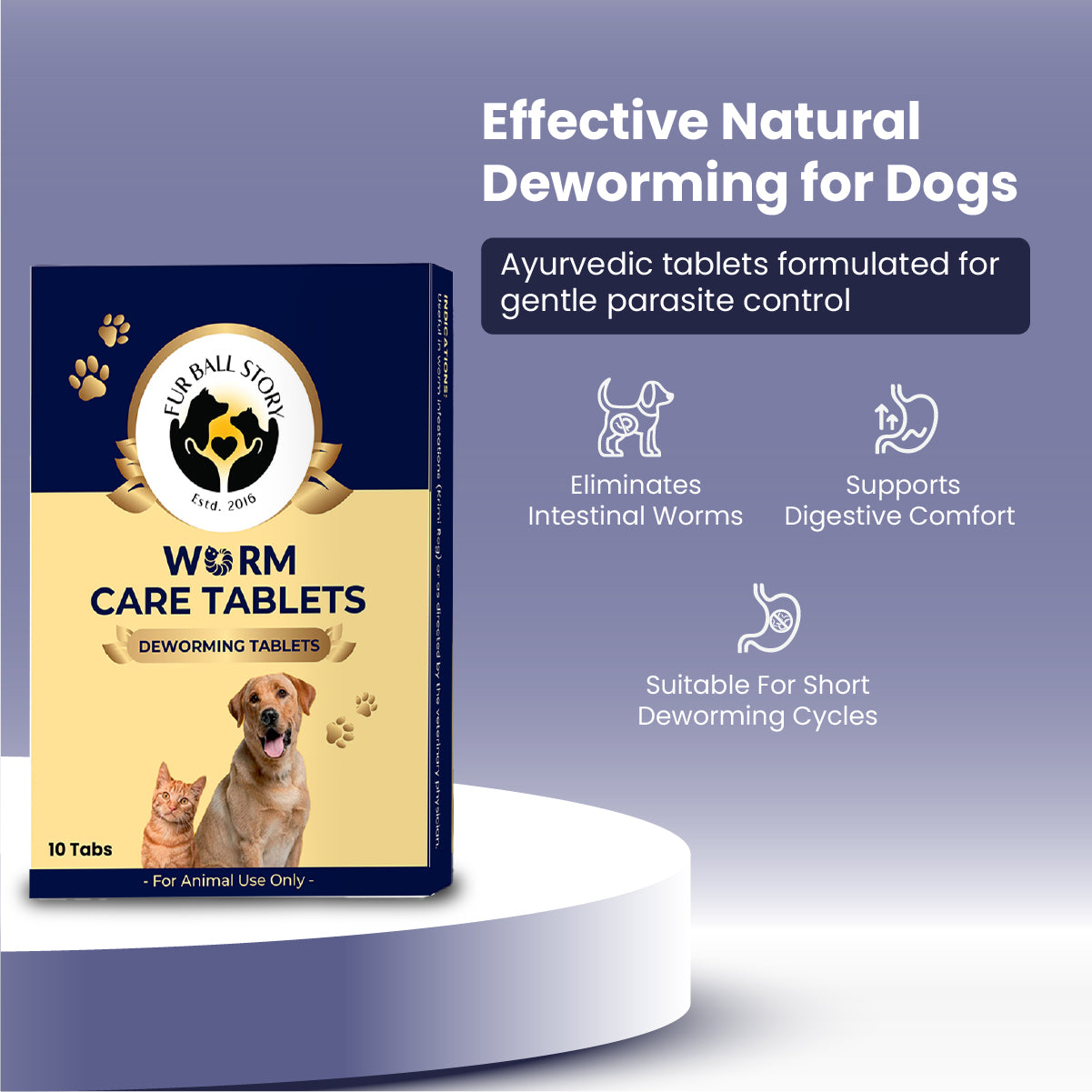 A lifestyle-oriented graphic stating "Effective Natural Deworming for Dogs," featuring icons for worm elimination and digestive comfort. The layout reinforces that these Ayurvedic tablets are designed for short, gentle deworming cycles.