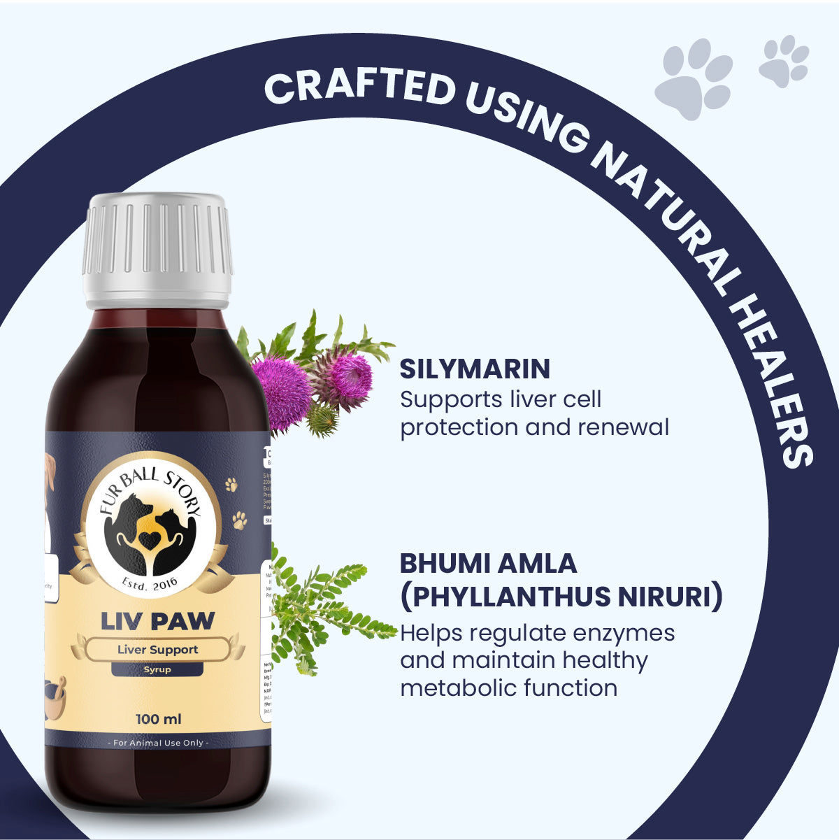 Infographic showing Liv Paw ingredients: Silymarin for liver cell protection and Bhumi Amla for enzyme regulation and metabolic function.