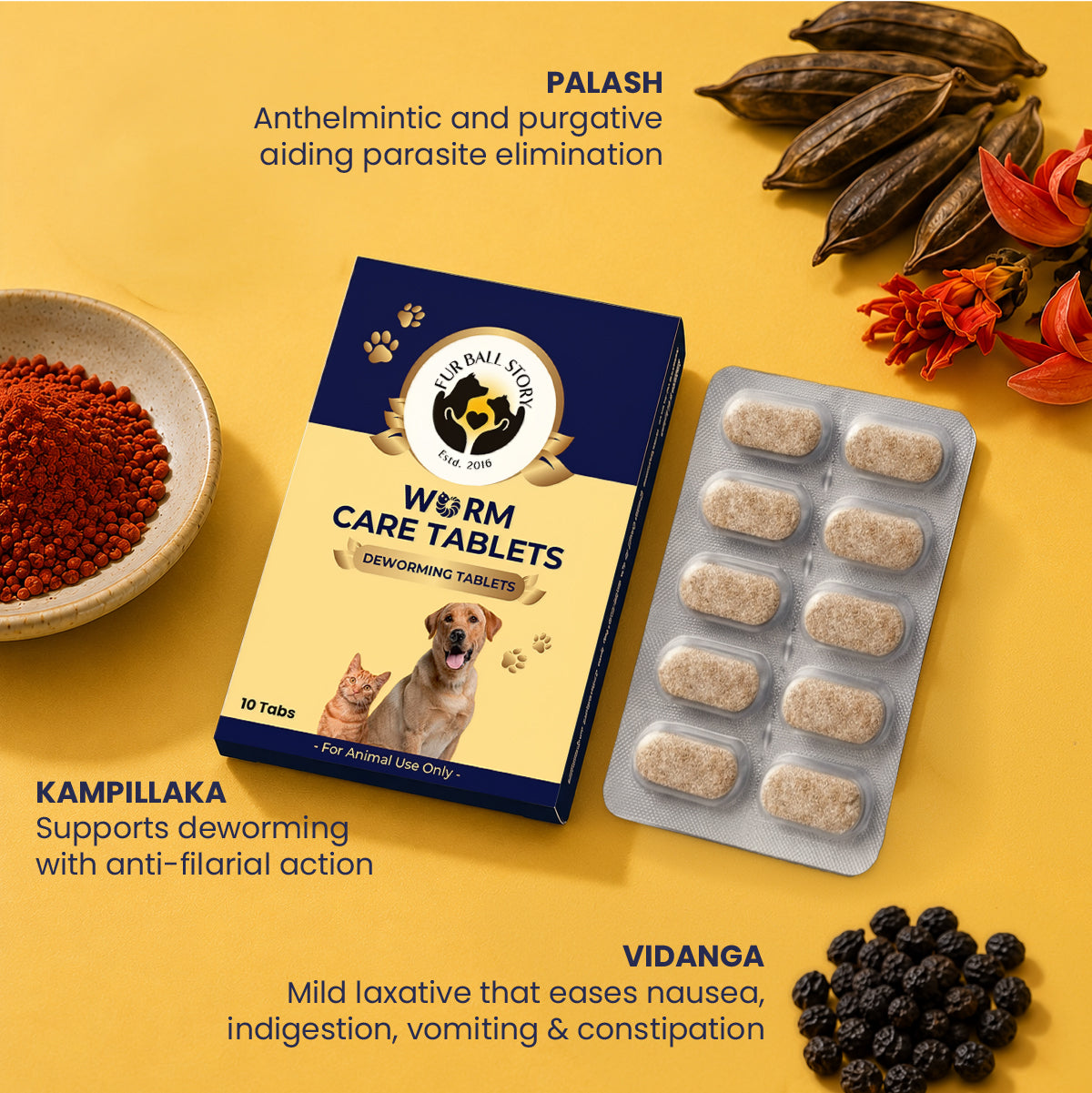 Infographic displaying three key Ayurvedic ingredients: Palash for parasite elimination, Kampillaka for anti-filarial action, and Vidanga for easing digestive discomfort.