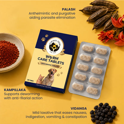 Infographic displaying three key Ayurvedic ingredients: Palash for parasite elimination, Kampillaka for anti-filarial action, and Vidanga for easing digestive discomfort.