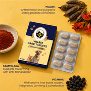 Infographic displaying three key Ayurvedic ingredients: Palash for parasite elimination, Kampillaka for anti-filarial action, and Vidanga for easing digestive discomfort.