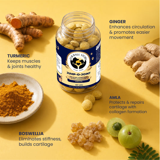 Dog Joint Care,Dog Joint Support,Best Joint Supplement for Dogs