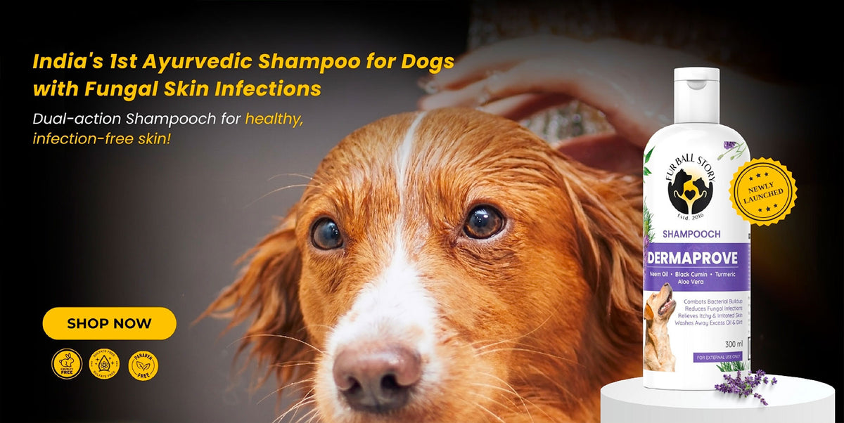 Fur Ball Story - Ayurvedic Healing for Pets