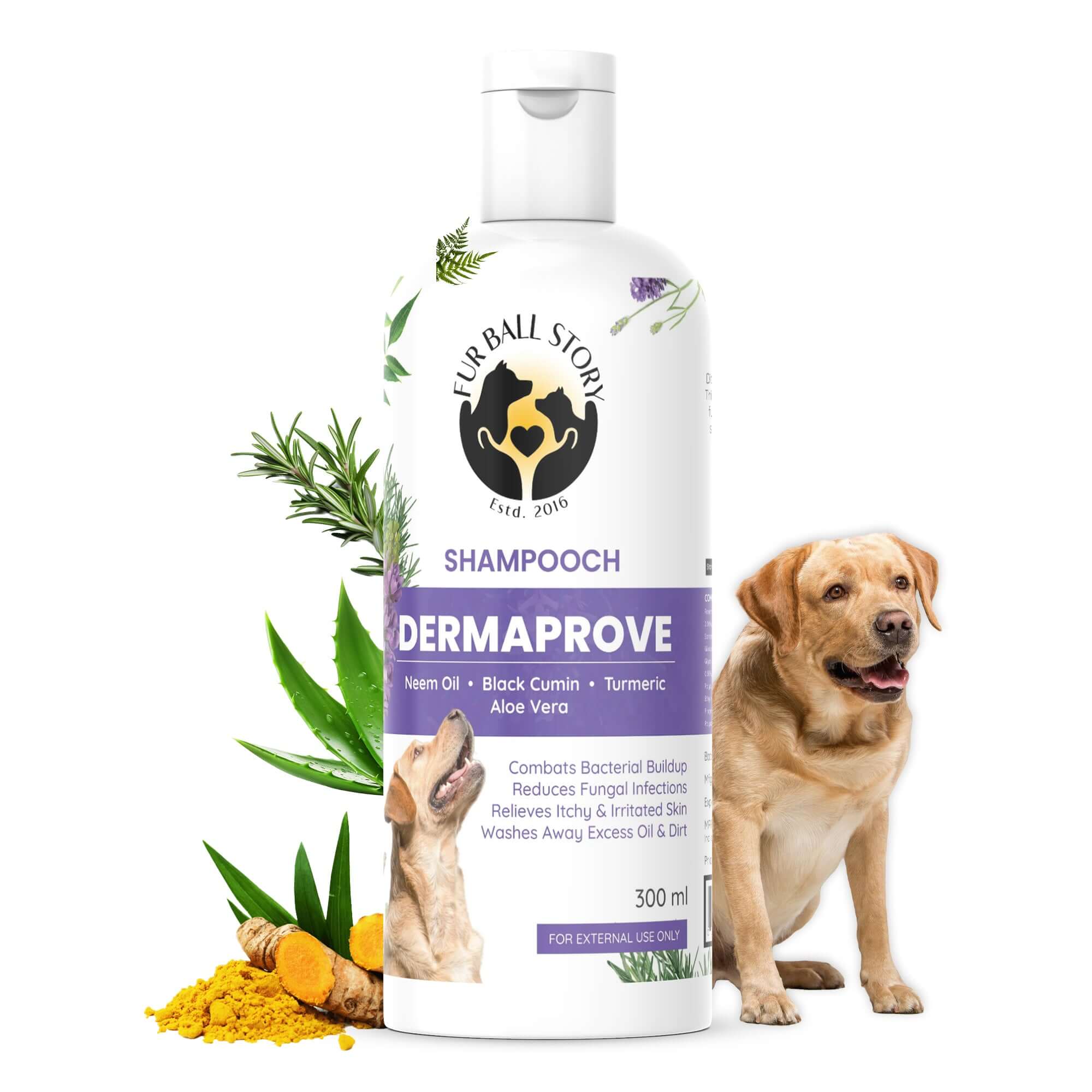 Dermaprove Antifungal Dog Shampoo – Effective Solution for Skin Infections in Dogs