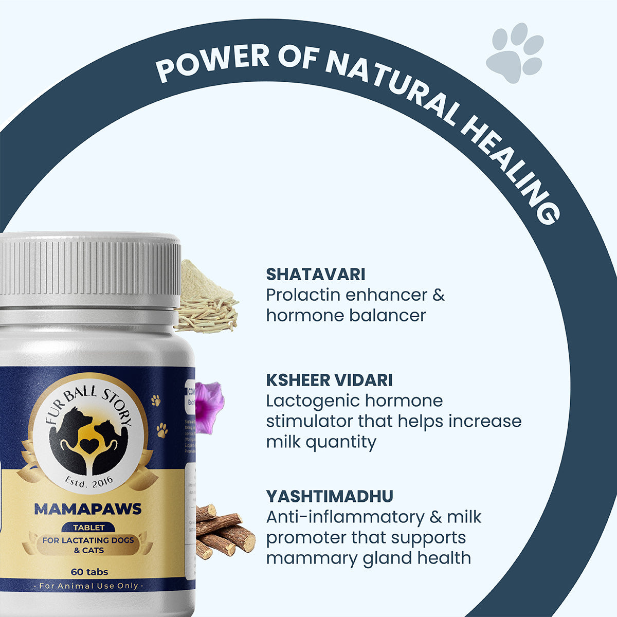 An educational slide featuring Shatavari, Ksheer Vidari, and Yashtimadhu. It explains their specific roles in balancing hormones, stimulating lactation, and protecting mammary tissue health.