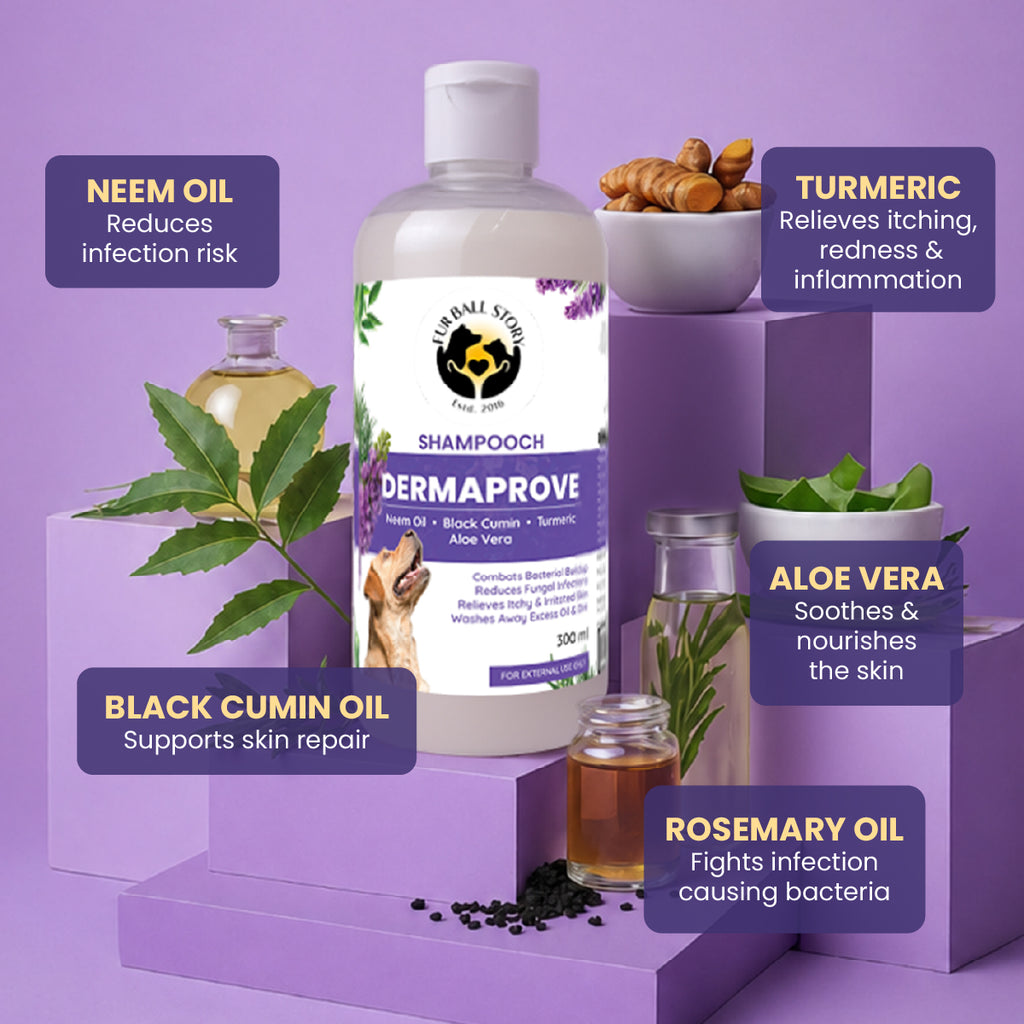 Infographic showing a bottle of Dermaprove dog shampoo surrounded by its key natural ingredients: Neem Oil, Turmeric, Black Cumin Oil, Aloe Vera, and Rosemary Oil.