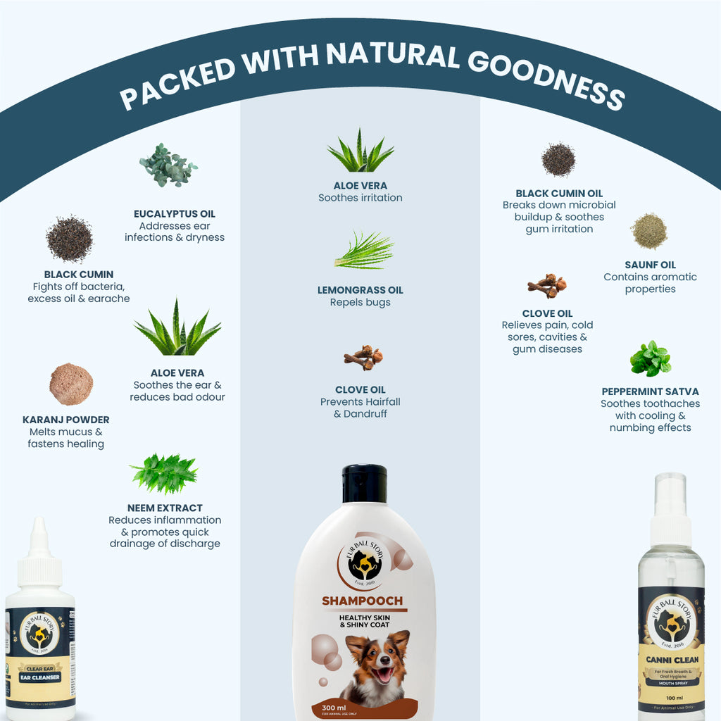Infographic titled "PACKED WITH NATURAL GOODNESS" detailing natural ingredients like Eucalyptus oil, Aloe Vera, and Black Cumin used in the displayed pet care grooming products.