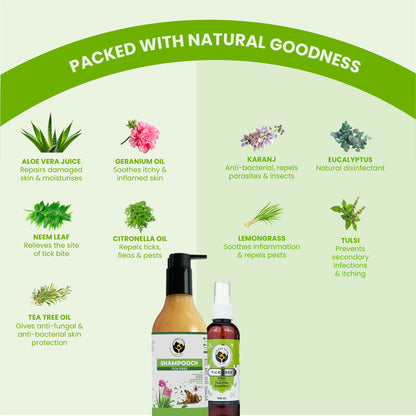 A grid detailing eight natural ingredients—including aloe vera, neem, and tea tree oil—and their specific skin-soothing and insect-repelling benefits.