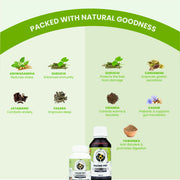 Graphic displaying key herbal ingredients: Ashwagandha, Guduchi, Jatamansi, and Tagara for Calm Pet; Guduchi, Cardamom, Vidanga, Kasani, and Yawanika for Pacho Pet.