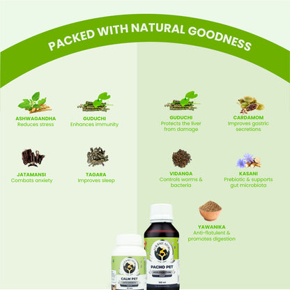 Graphic displaying key herbal ingredients: Ashwagandha, Guduchi, Jatamansi, and Tagara for Calm Pet; Guduchi, Cardamom, Vidanga, Kasani, and Yawanika for Pacho Pet.