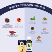 An infographic detailing the natural, plant-based ingredients in the pet supplements, including Vidanga, Palash, Guduchi, Cardamom, Kampillaka, Kasani, and Yawanika.