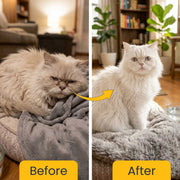 Feli Clear - Hairball Remover Syrup for Cats | 50ml