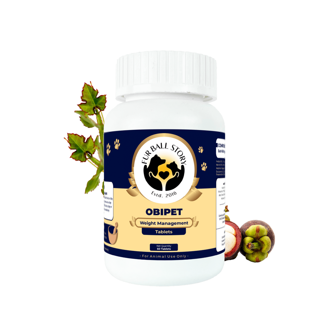 Obipet: Ayurvedic Weight Management Tablets for Dogs – 60 Tabs