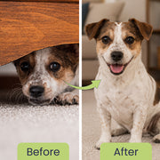 Calm Pet: Anti Anxiety Tablets For Dogs & Cats -  (60 tab/100gm)