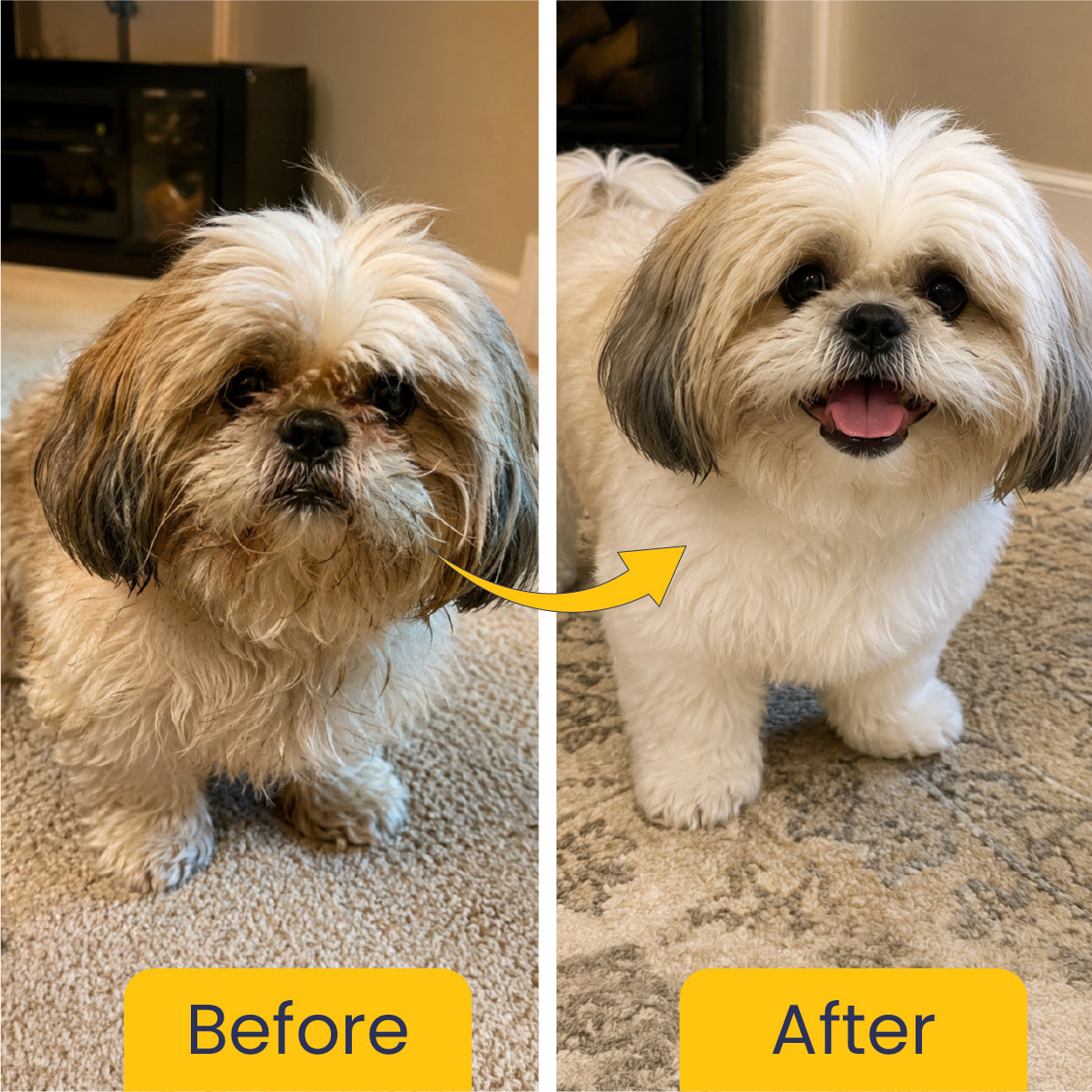 Dog Grooming Kit