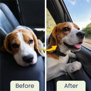 Travel with Pet Kit