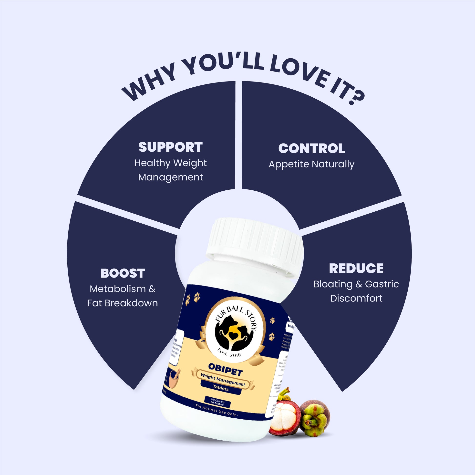 Circular diagram outlining why owners will love Obipet: it supports weight management, controls appetite, boosts metabolism, and reduces bloating.