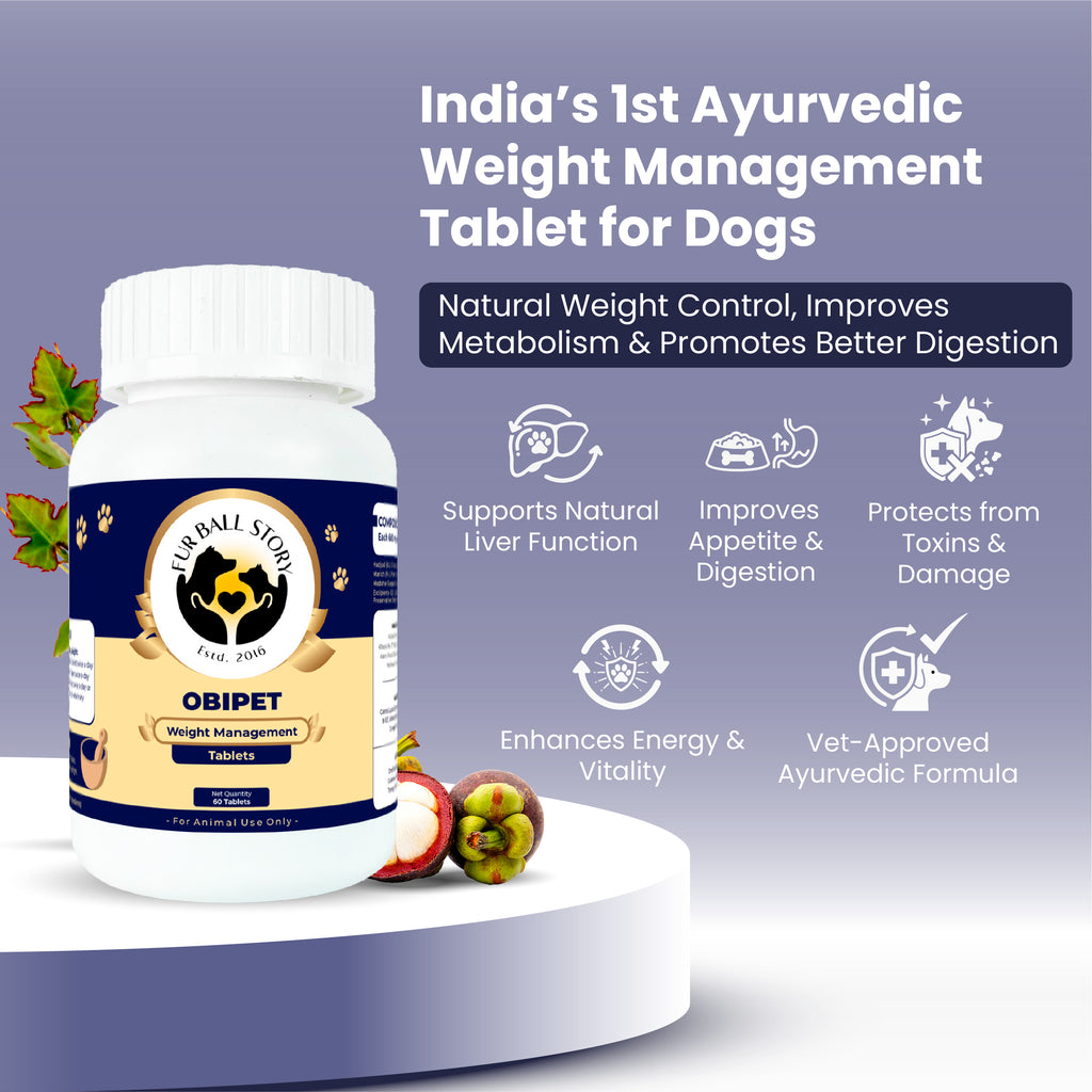 Promotional graphic for Obipet dog tablets highlighting health benefits like liver support, digestion, metabolism, and vitality.