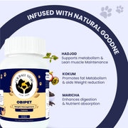 Product graphic showing the natural ingredients of Obipet tablets: Hadjod, Kokum, and Maricha.