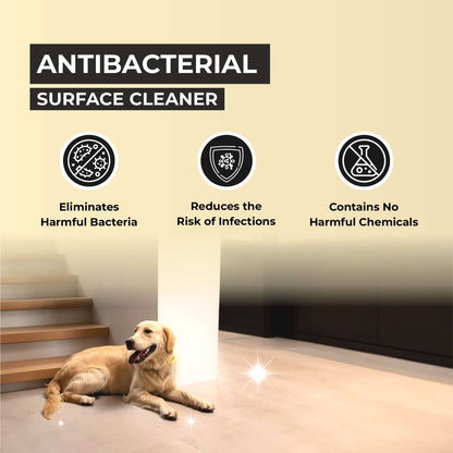 Graphic showing product benefits including eliminating bacteria, reducing infection risks, and absence of harmful chemicals.