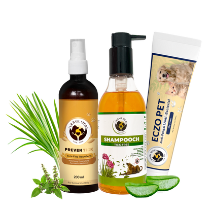 A complete pet care bundle featuring Preven Tick spray, Shampooch shampoo, and Eczo Pet cream arranged with fresh lemongrass, tulsi, and aloe vera slices on a transparent grid background.