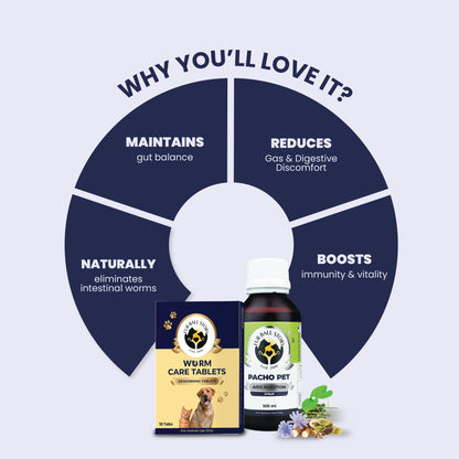 A circular diagram outlining four key benefits of Worm Care Tablets and Pacho Pet syrup, including gut balance, reduced discomfort, worm elimination, and boosted immunity.