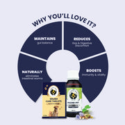 A circular diagram outlining four key benefits of Worm Care Tablets and Pacho Pet syrup, including gut balance, reduced discomfort, worm elimination, and boosted immunity.